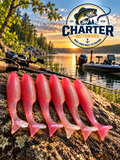 3.2" Swimbait Morning Dawn Pearl Pack of 6