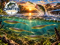 4" G Minnow Dirty Shad Pack of 10