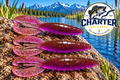 4" G Craw in Chameleon Pack of 10