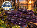 4" Real Craw Junebug pack of 6