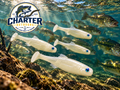 3.8" Swimbait in White (Eye Color May Vary) Pack of 4
