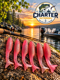 2.8" Swimbait Morning Dawn Pearl Pack of 6